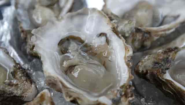 The Best Places for $1 Oysters in Boston