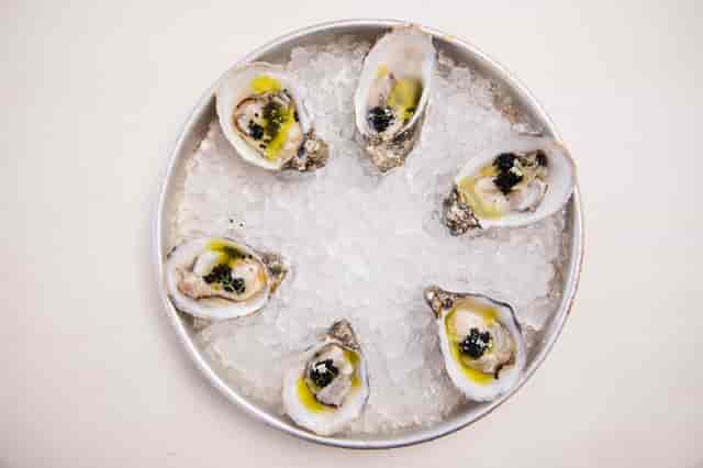 oysters