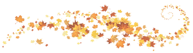 Fall