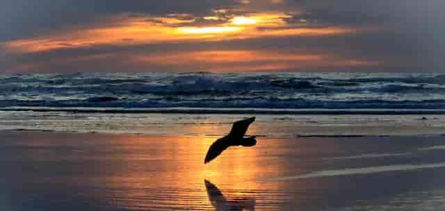 Ocean Shores Sunset, by Eagle Whisperer