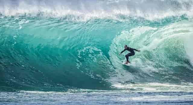 Baja Surfer Woody's Tacos & Tequila
