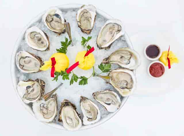oysters
