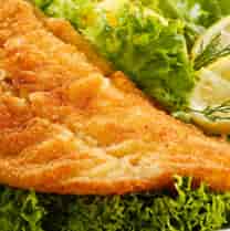 fish