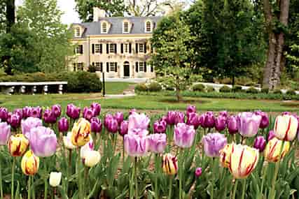 exterior view with flowers