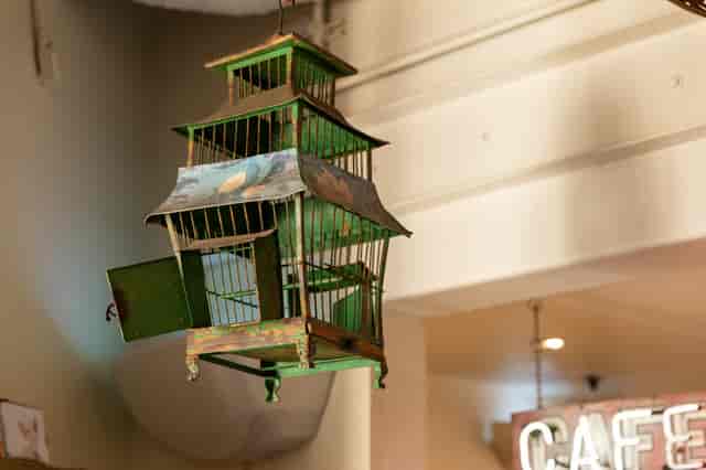 decorative bird cage