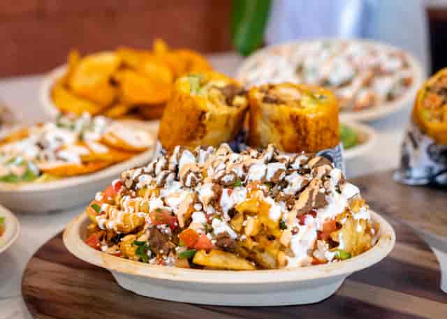 loaded fries
