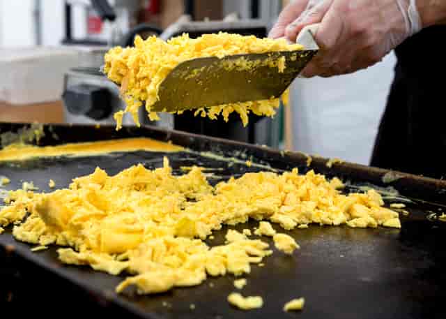eggs