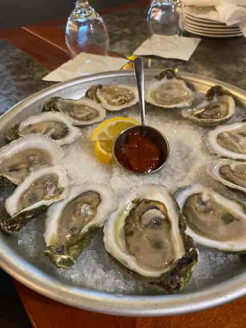 Oysters