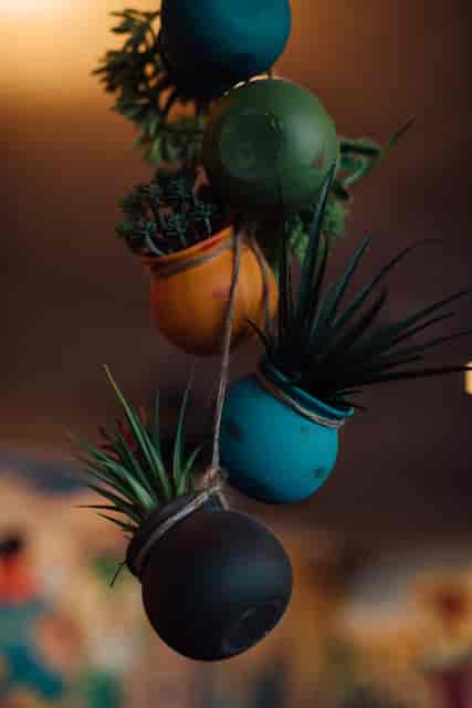 decor