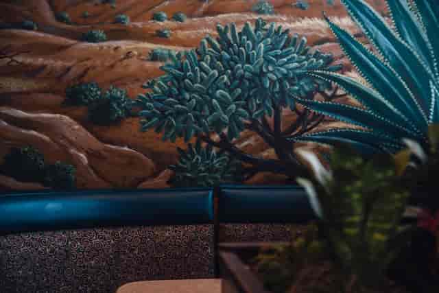 decor