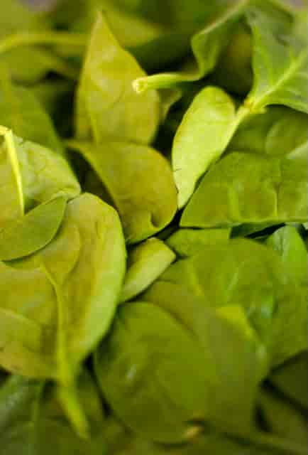 spinach