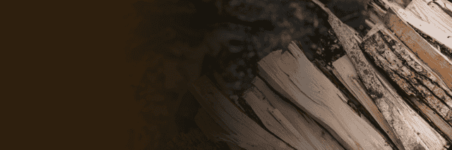 About Us Header Image