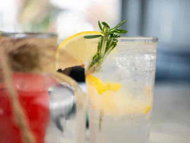 rosemary spritzer