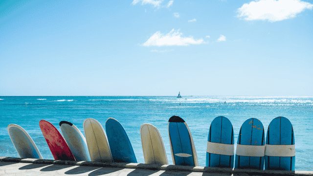 surfboards