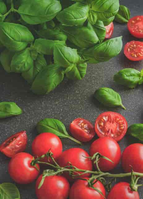 tomatoes