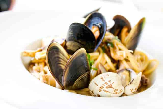 Seashell dish