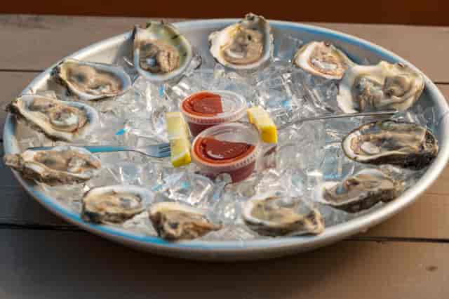 oysters