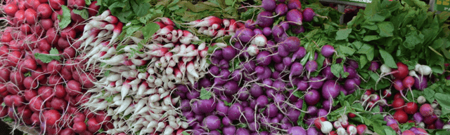 radishes