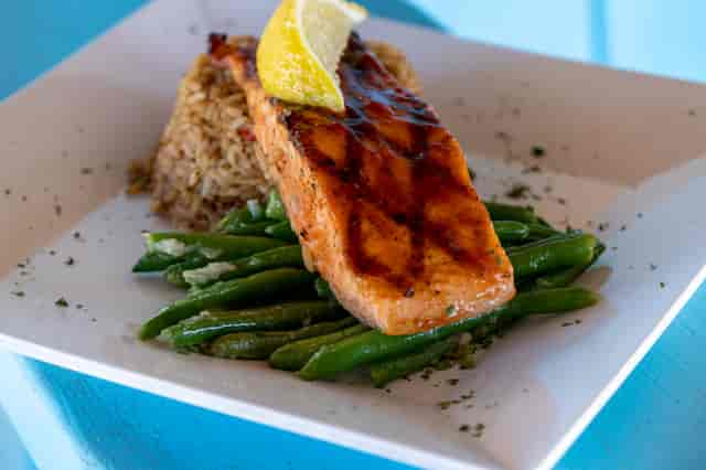 salmon