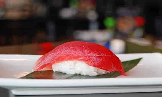 maguro