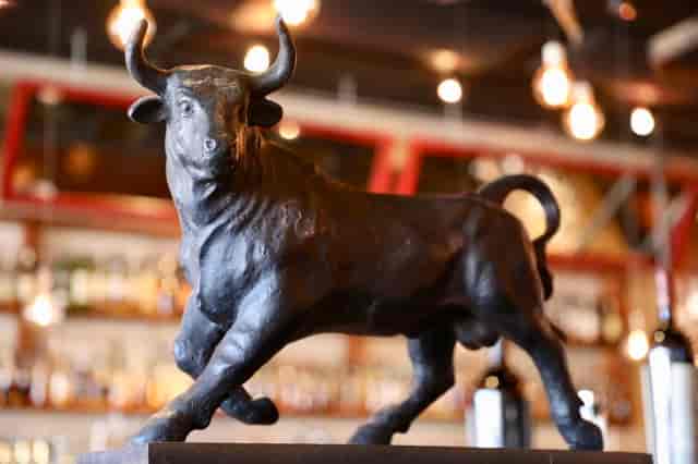 bull