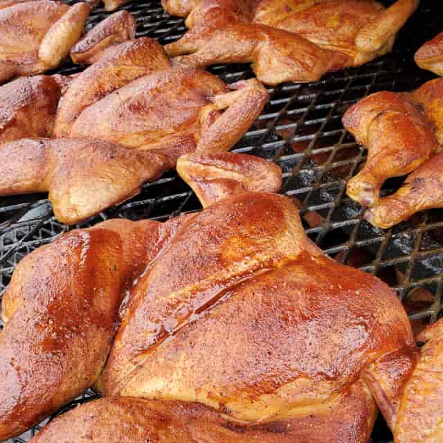 chickens