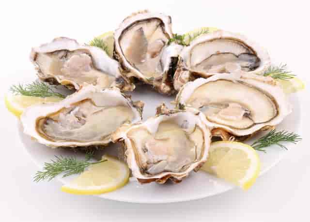 oysters