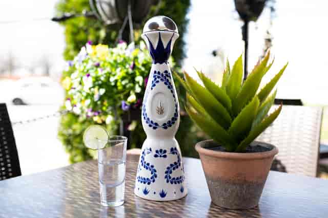 margarita
