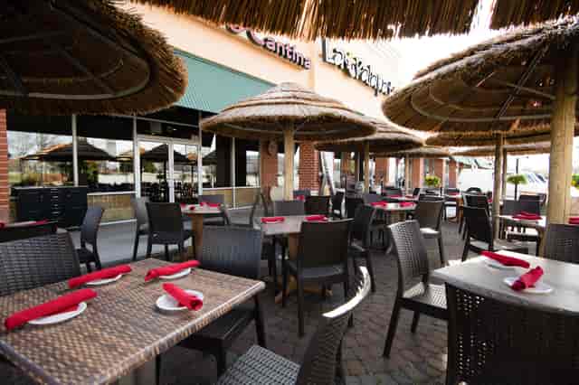 La Palapa Too