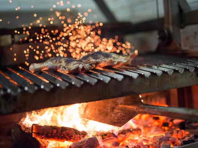 wood grill