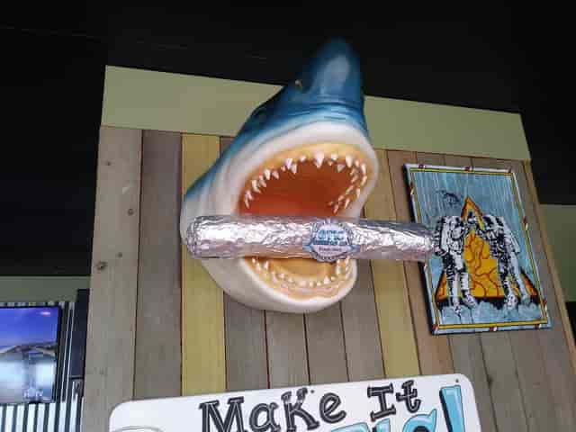 shark
