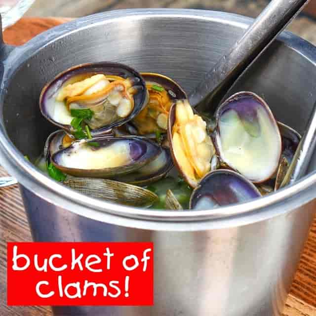 Bucket of Clams