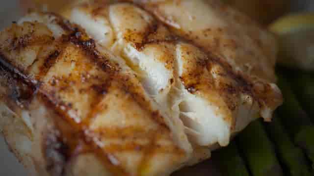fish