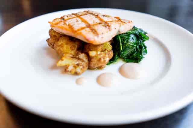salmon