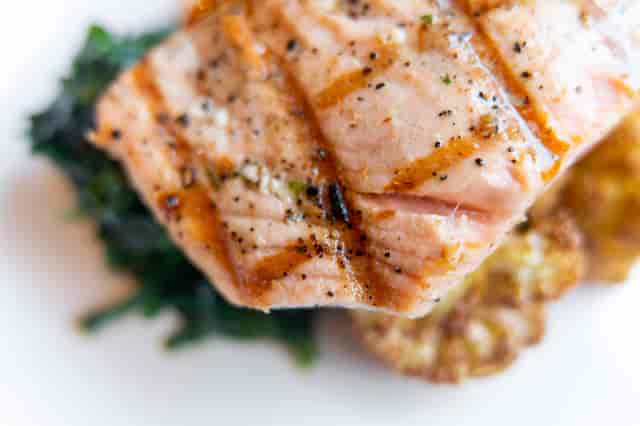salmon