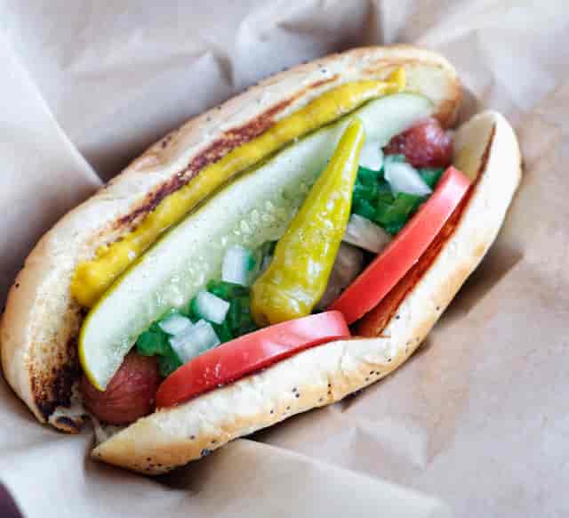 Chicago dog