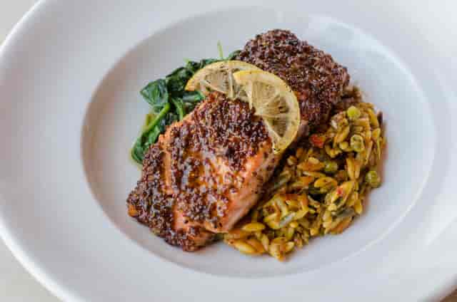 salmon