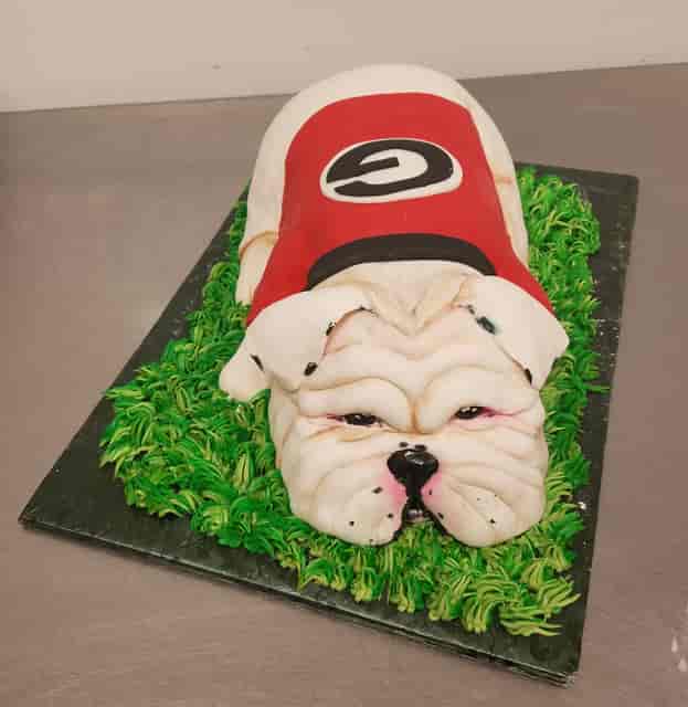 bulldog
