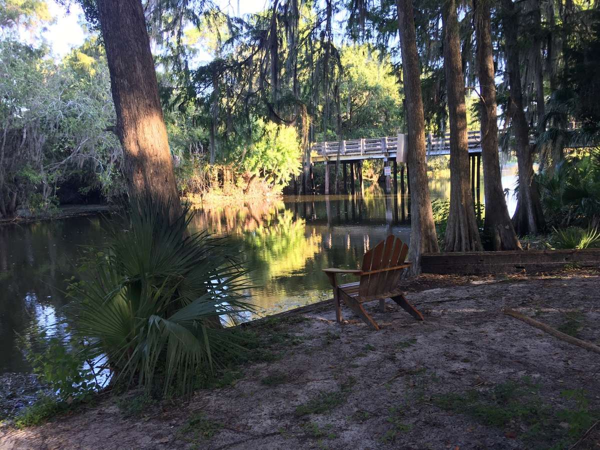 outdoor pond with a wooden chair nearby and a wooden bridge in the distance