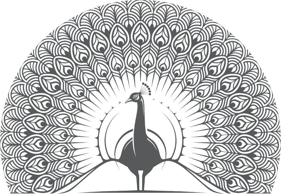 peacock illustration