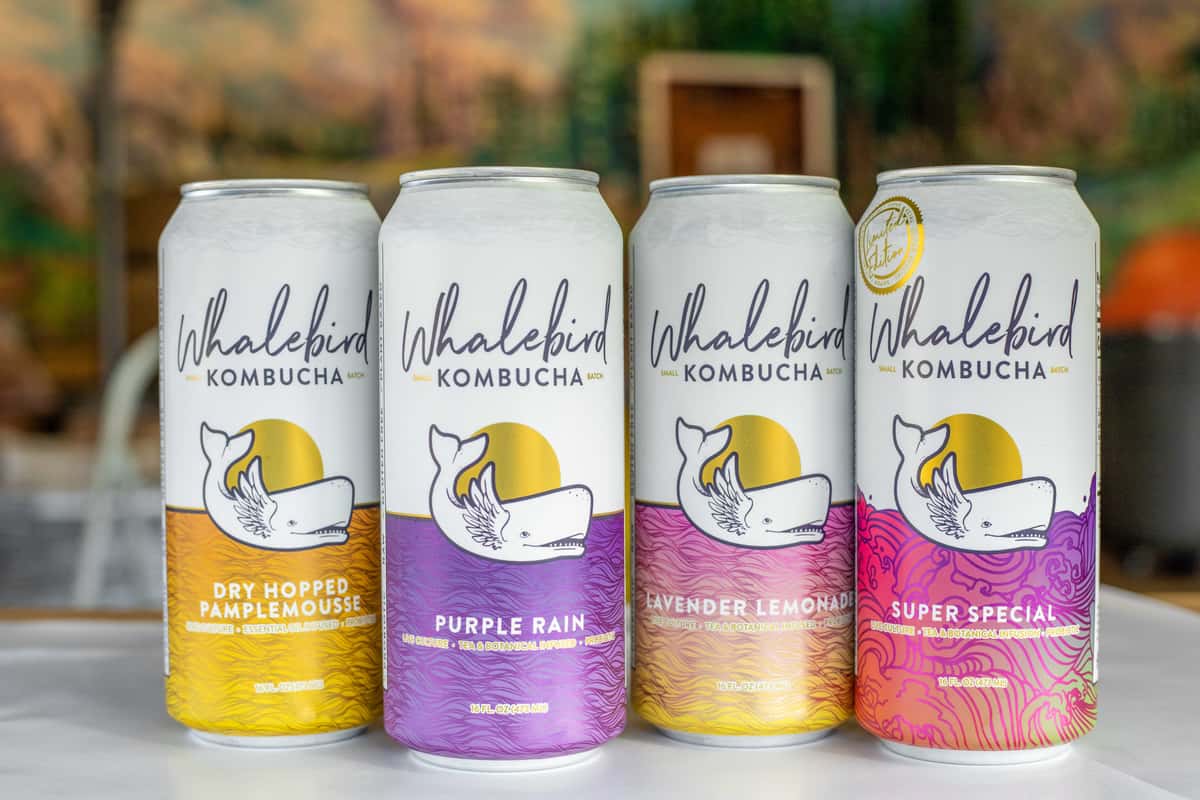 kombucha