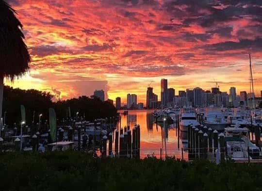 view of the city and docks at sunset