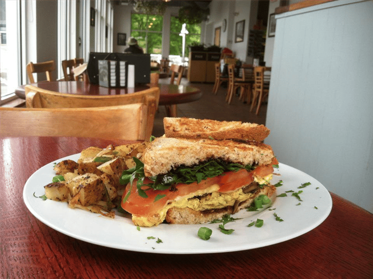 sandwich cut in half on a plate
