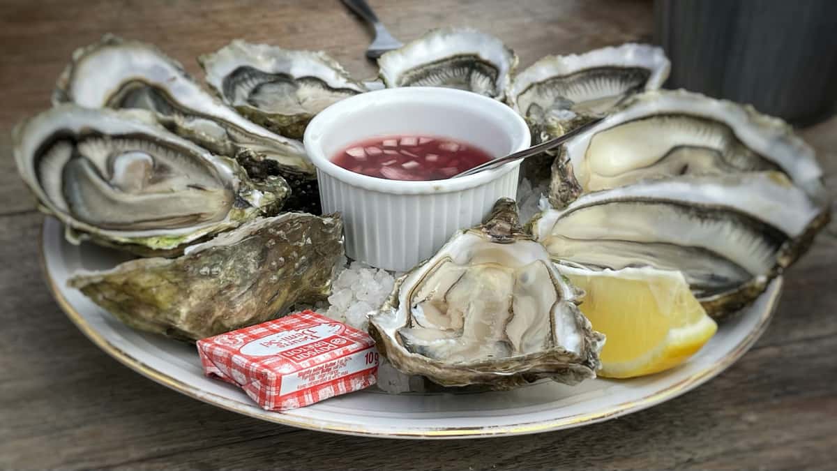 oysters