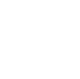 The Big Vibe Group