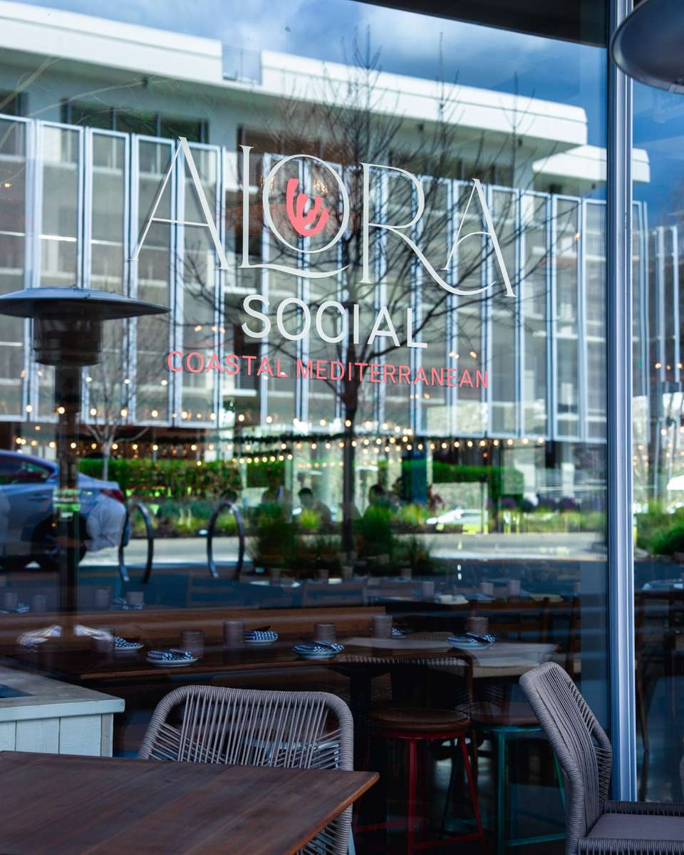 Mediterranean lunch dishes at Alora Social in San Ramon near Bishop Ranch