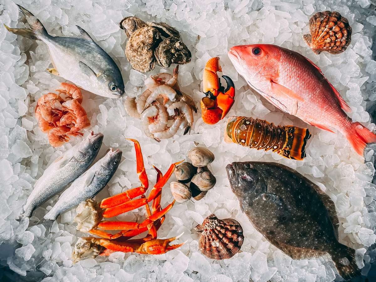 Fresh seafood display on crushed ice featuring whole fish, shrimp, lobster tail, crab legs, clams, oysters, scallops, and a red snapper—perfectly chilled for a seafood market or restaurant menu.