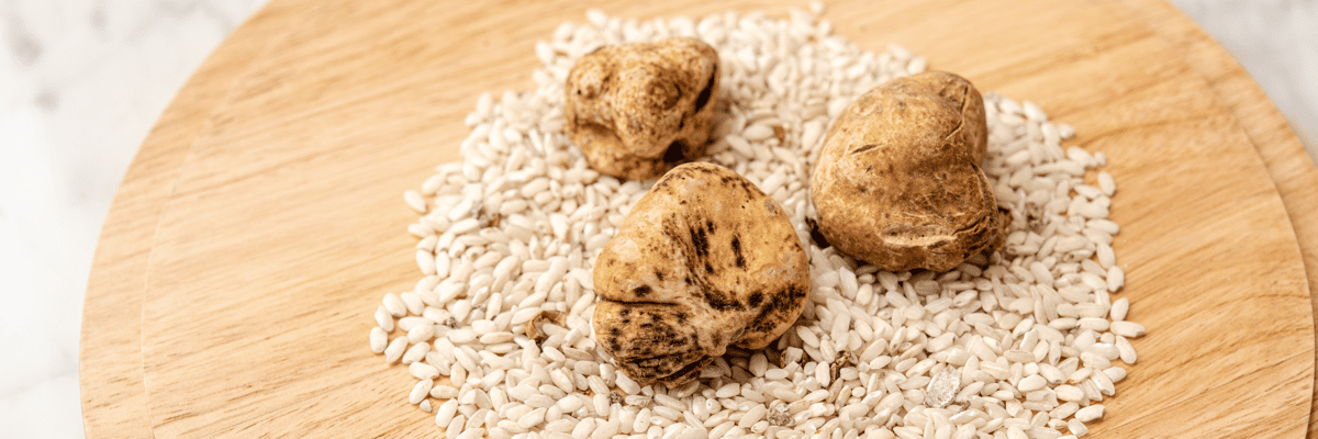 Cucina HTX - White Truffle _ Image (2).