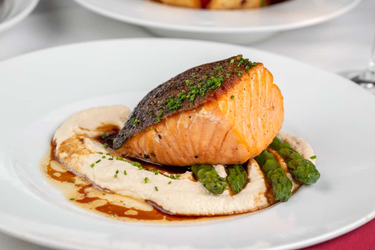 Salmon