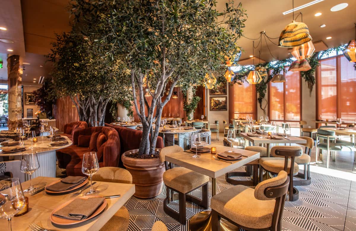 Spacious upscale restaurant dining room with indoor trees, geometric flooring, and warm natural lighting